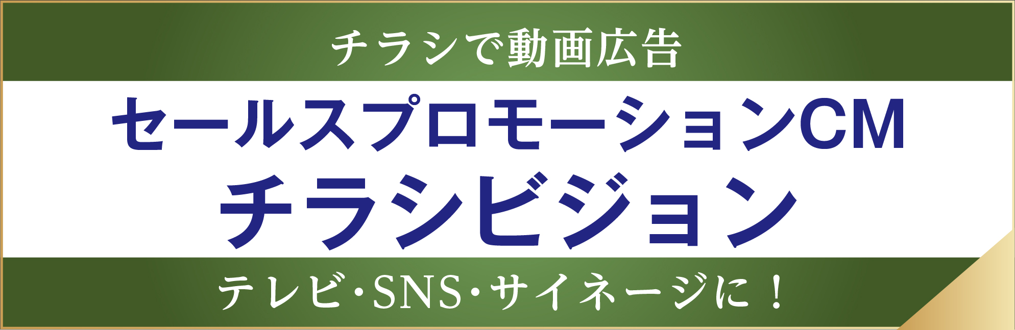 チラシビジョン